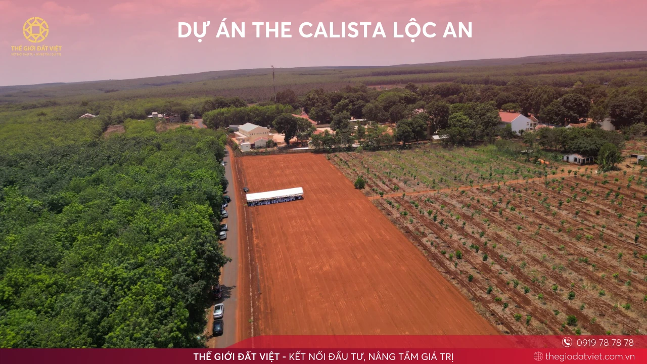 DỰ ÁN THE CALISTA LỘC AN